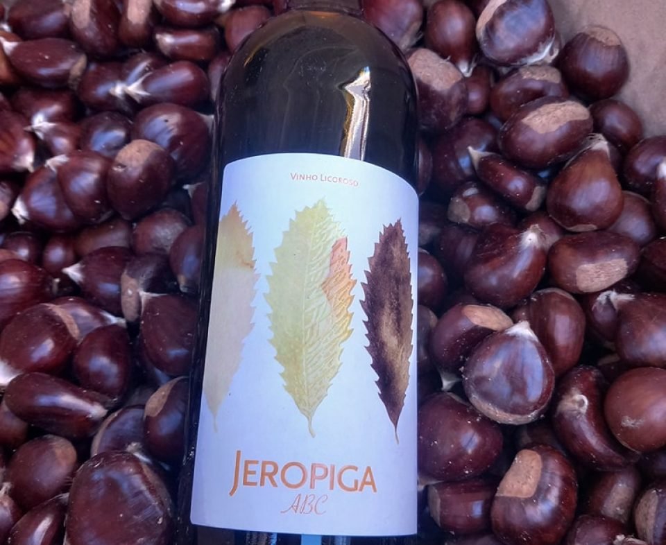 485105749_704274908591973_5244573116509311237_n